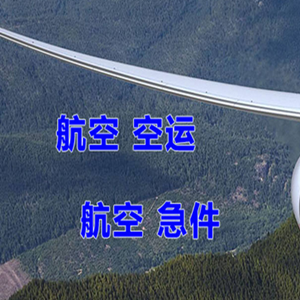 宜宾五粮液机场托运快递-选东方航空和上海航空