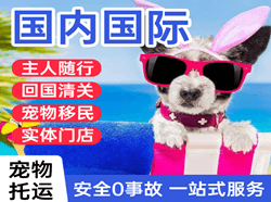 宜宾五粮液机场托运国际宠物托运 【国